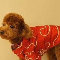 Kirby.2011.01.31-008.JPG