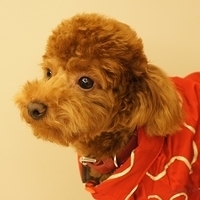 Kirby.2011.01.31-009.JPG