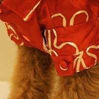 Kirby.2011.01.31-010.JPG