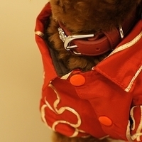 Kirby.2011.01.31-011.JPG