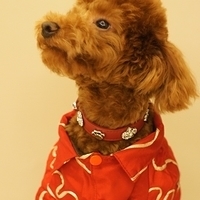 Kirby.2011.01.31-012.JPG