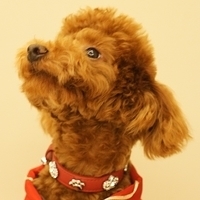 Kirby.2011.01.31-013.JPG