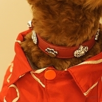 Kirby.2011.01.31-014.JPG