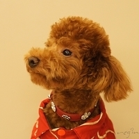 Kirby.2011.01.31-015.JPG