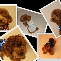 Kirby.2011.01.31-016.jpg
