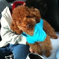 Kirby.2012.01.02-001.JPG