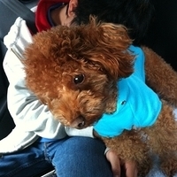 Kirby.2012.01.02-002.JPG