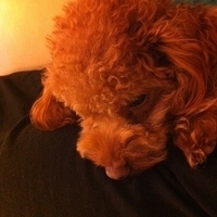 Kirby.2012.01.02-008.JPG