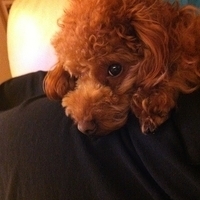 Kirby.2012.01.02-011.JPG
