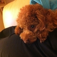 Kirby.2012.01.02-012.JPG