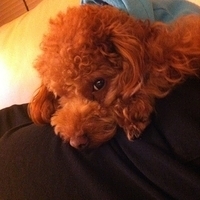 Kirby.2012.01.02-013.JPG