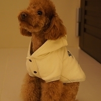 Kirby.2012.01.14-006.JPG