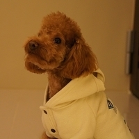 Kirby.2012.01.14-007.JPG