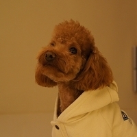 Kirby.2012.01.14-008.JPG