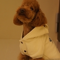 Kirby.2012.01.14-009.JPG