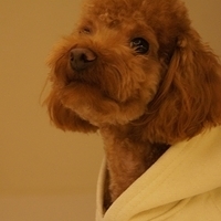 Kirby.2012.01.14-010.JPG