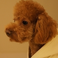 Kirby.2012.01.14-011.JPG