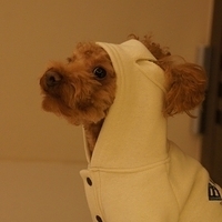 Kirby.2012.01.14-012.JPG