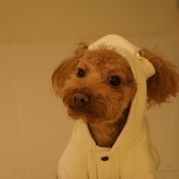 Kirby.2012.01.14-013.JPG