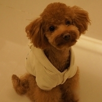 Kirby.2012.01.14-015.JPG