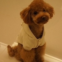 Kirby.2012.01.14-016.JPG
