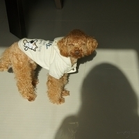 Kirby.2012.01.17-001.JPG