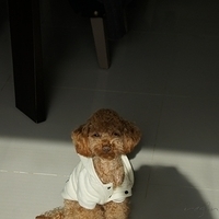 Kirby.2012.01.17-002.JPG