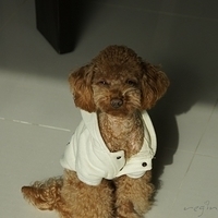 Kirby.2012.01.17-003.JPG