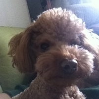 Kirby.2012.01.21-001.JPG