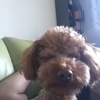 Kirby.2012.01.21-002.JPG