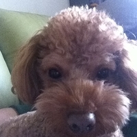 Kirby.2012.01.21-003.JPG