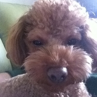 Kirby.2012.01.21-004.JPG