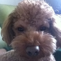 Kirby.2012.01.21-005.JPG