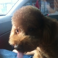 Kirby.2012.01.21-006.JPG