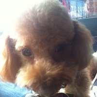 Kirby.2012.01.21-008.JPG
