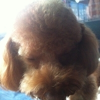 Kirby.2012.01.21-009.JPG