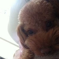 Kirby.2012.01.24-001.JPG
