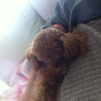 Kirby.2012.01.24-002.JPG