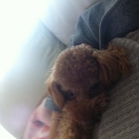 Kirby.2012.01.24-003.JPG