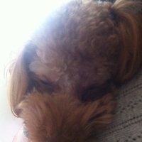 Kirby.2012.01.24-004.JPG