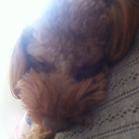 Kirby.2012.01.24-005.JPG