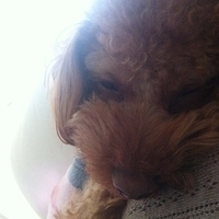 Kirby.2012.01.24-006.JPG