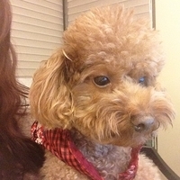 Kirby.2013.01.05-001.JPG