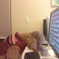 Kirby.2013.01.05-006.JPG