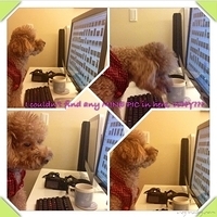 Kirby.2013.01.05-007.JPG
