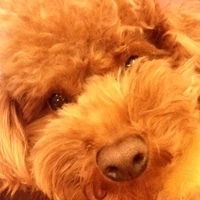 Kirby.2013.01.09-001.JPG