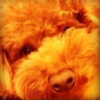 Kirby.2013.01.09-002.JPG