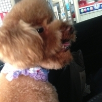 Kirby.2013.01.12-001.JPG