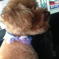 Kirby.2013.01.12-002.JPG