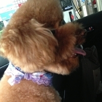 Kirby.2013.01.12-003.JPG